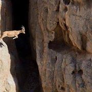 Randonnées en groupe sur les montagnes de Crète